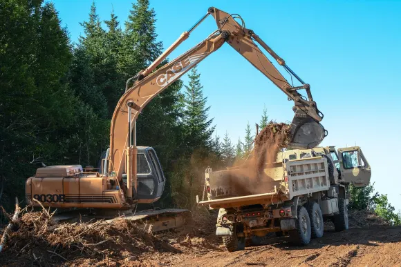 Kaszinó Golden Crown Támogatás